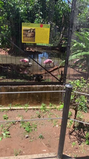 @hello_im_william_afton I’m at the zoo-