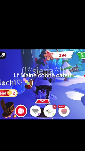 Discover the World of Maine Coon Cats in Adopt Me