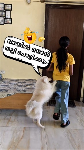 Door തുറക്ക്. ഇല്ലെങ്കിൽ ഞാൻ ചവിട്ടി പൊളിക്കും 🤣🤣🤣 #shorts
