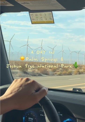 Exploring Palm Springs and Joshua Tree National Park
