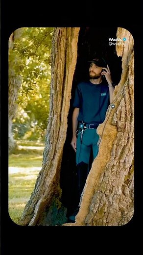 The sound of an oak tree creaking 🌳 #sehar