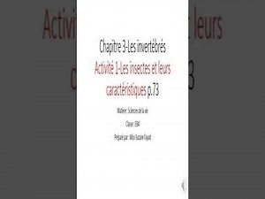 les insectes et cycle de vie du papillon eb4