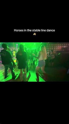Horses in the stable line dance#linedancing#wildgregssaloon#horsesinthestable#sdott@S DOTT@WildGregsSaloon
