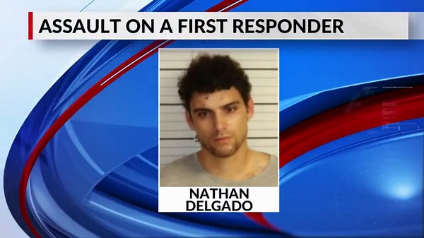 Driver accused of trying run down task force member