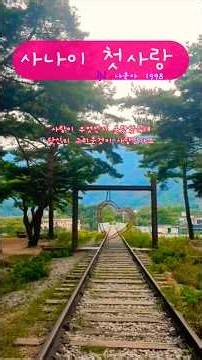 사나이 첫사랑 #나훈아#추억의가요#트로트