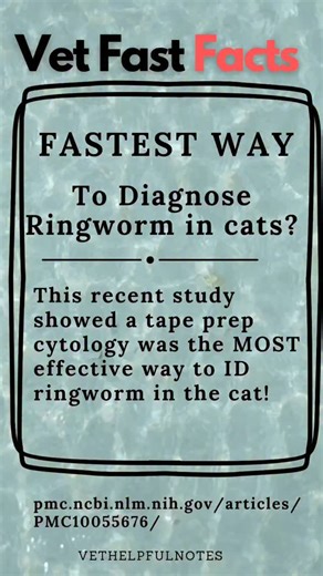 Nicole, DVM DABVP: Cheat Sheets for Vet Med on Instagram: "I’ll send you the article and a summary of it if you want. Do you use cytology to diagnose dermatophytosis? 🥰 Comment “TAPE” and I’ll send it! #veterinarymedicine #vetstudy #vetstudent"