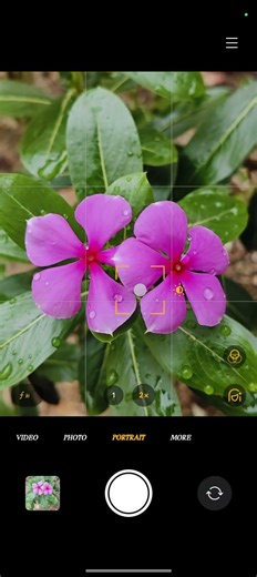 “OnePlus Nord CE4 से ऐसी फोटो 😱 | DSLR भी फेल! 🌸📸 #shorts #oneplus”