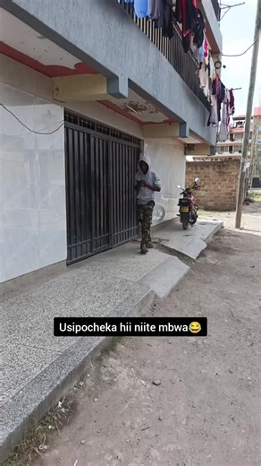 Hilarious Moments from Real Steve-O's Comedy Videos