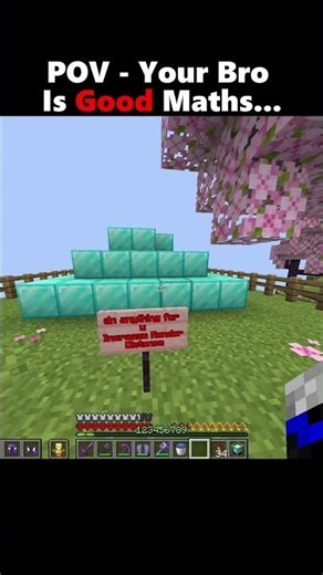 POV Your Bro Is Good In Maths... #minecraft
