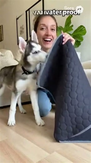 Washable Reusable Pet Pee Pad