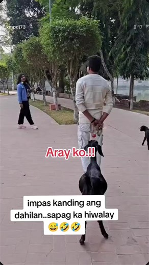 🦜Jhon-Audel🦜Yamata🦜 (@audelabsin)’s videos with original sound - 🦜Jhon-Audel🦜Yamata🦜