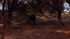 Class.of.1999.II.The.Substitute.1994.FRENCH.INTERNAL.WEB-DL.H264 (Classe du futur)