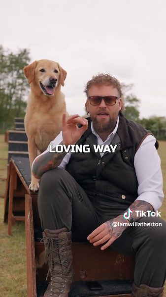 Effective Dog Training Tips to Curb Reactivity