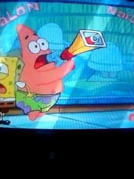 Spongebob Squarepants Have You Seen This Snail