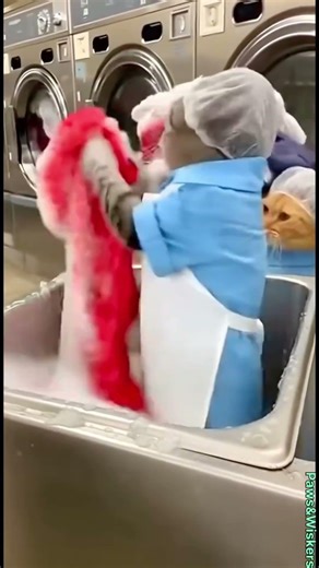 Nhỡ tay thôi mà gì quạo ghê vậy 🤣🤣🤣