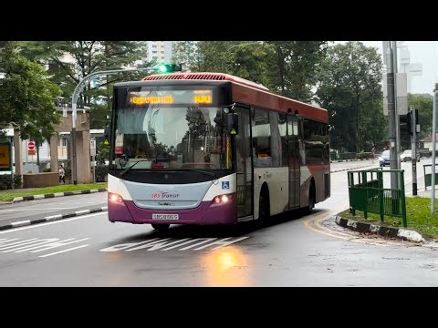 (Retired) SBST Scania K230UB Euro 4 - SBS8196S on Route/Service 100