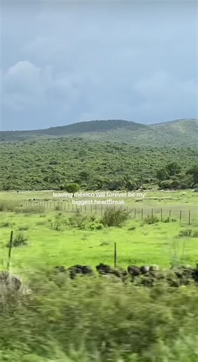 Exploring Mexico's Nightlife and Local Tienditas