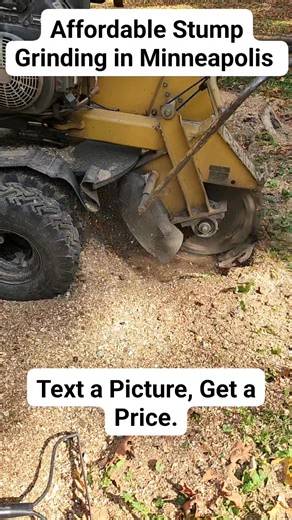 Simply Stump’n – Stump Grinding in the Minneapolis Area Simply Stump’n provides professional stump grinding and stump removal throughout the Minneapolis area, including Plymouth, Maple Grove, Brooklyn Park, Bloomington, and surrounding suburbs. We make it simple: Text a picture, get a price, and watch that ugly stump disappear — guaranteed! Our team delivers fast, affordable, and clean results, leaving your yard smooth and ready for new grass or landscaping. 📞 Call or text 612-481-8998 for quic