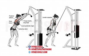 Cable Straight Arm Pulldown: Strengthen Your Lats Effectively! – Fitness Volt