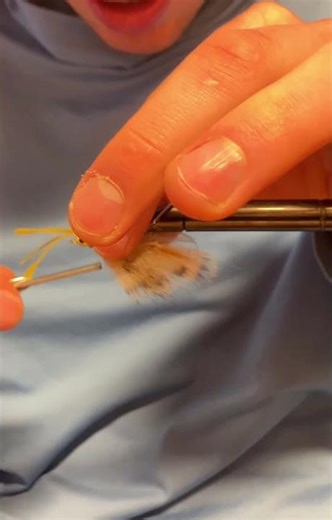 Tying the baby zonker fly