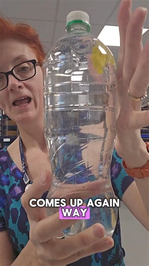 School science technician – it’s not all glamour. Sometimes you get to make but squid-shaped Cartesian divers out of a straw, paperclips and a balloon skirt. Watch it hunt its prey. #ScienceTok #DIYScience #CartesianDiver #SchoolScience #NotAllGlamour | Ribs Norman