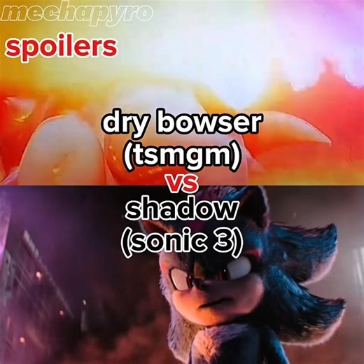 dry bowser vs shadow