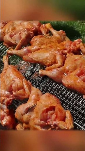 Roasted BBQ Chicken: Outdoor Cooking Adventure
