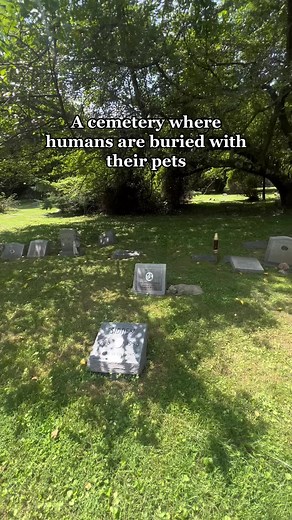 Aspin Hill Memorial Park, the fifth oldest Pet Cemetery in the country but one of few where people can be buried with pets. Thanks for tagging along, @Josh Rawson 💕 #aspinhillpetcemetery #aspinhillmemorialpark #petcemetery #taphophile #taphophileclub #atlasobscura #tombstone #headstone #cemeterywandering #cemeterylovers #fyp