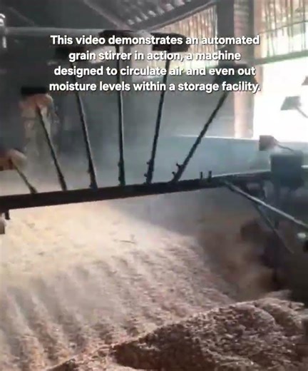 Revolutionizing Post-Harvest: The High-Efficiency Automated Grain Turner
