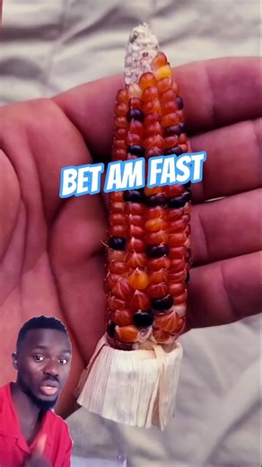 BET U IM FAST SUB IF U FASTER THAN ME AT ABC