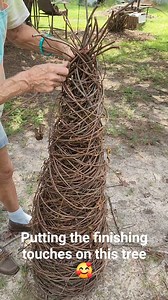 427K views · 4.8K reactions | The Grapevine Lady on Reels | Facebook