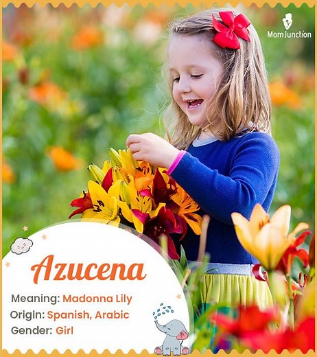 Azucena Name Meaning, Origin, History, And Popularity