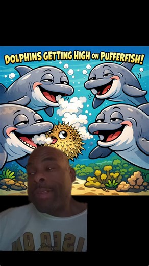 #greenscreen #Dolphins