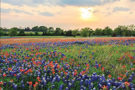 New Construction Homes for Sale in Texas by Toll Brothers