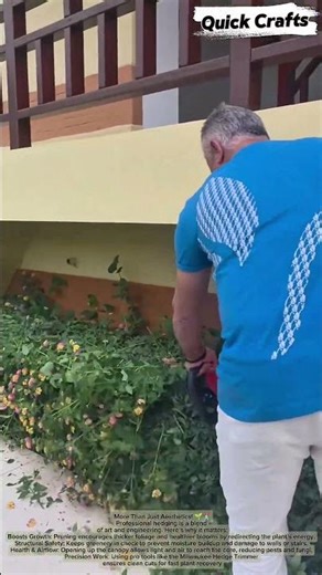 The Art of Precision: Satisfying Hedge Trimming 🌱✂️ #shorts