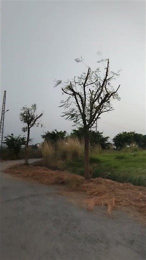 Horticulture and Gardening | D18-ECHS : plot for Sale #kbn #echs