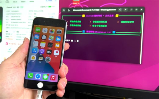 iOS从最新系统降级到14.0版本，无需证书强制降级！