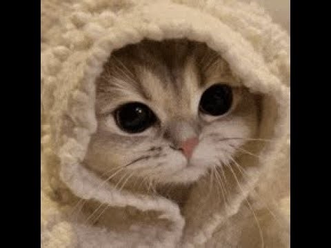 Steelspire Horizon // RELEASE