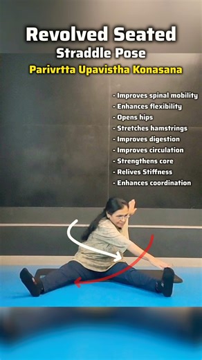 Seated Straddle Pose #shortsfeed #seniorcitizens #yogaforbeginners #spinehealth