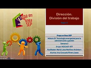 Módulo 23, Fase 4. Dirección. División de trabajo