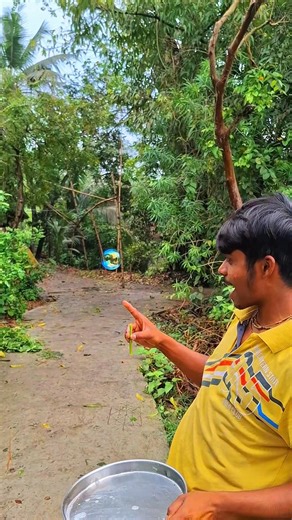 Flying bubble. #shorts