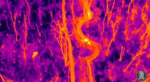 Moment bombs are dropped on Russian troops in 'Predator'-style infrared footage