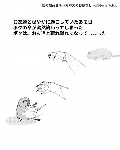 「虹の橋待合所～カボスのおはなし～」 #RainbowBridge #虹の橋 #ペットロス