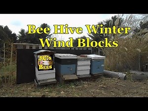 Bee Hive Winter Prep. Wind Blocks 6 Of 6