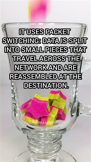 The Internet and the World Wide Web (WWW): The Architecture of the Global Network