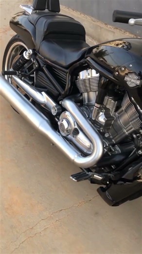 Harley-Davidson V-Rod Muscle (VRSCF) Feel The Sound 💥😍 #exhaust #shorts #harleydavidson