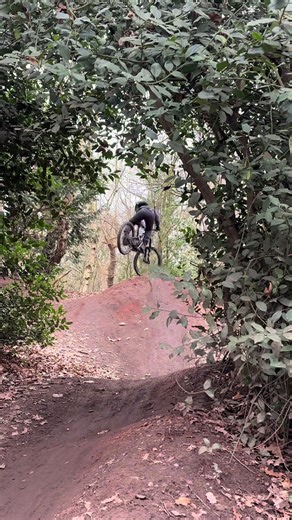 Hemlock yesterday🔥🔥 had to re-do because it got removed. riders>> @mtb🤙elijah @Joeys trek = I love my baggy @mtb xander @Jesse_on_specialized @Charlie_MTB @️Will🐉 #fyp #hemlock #jumps #bike #ride