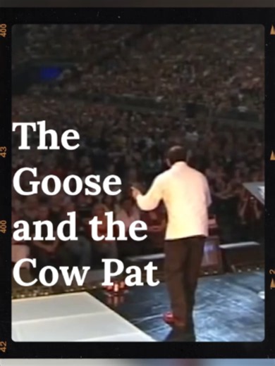 Goose and Cow Pat Story — Christian Wisdom Short
