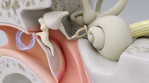 7.5M views · 2.3K reactions | How hearing works | Barakat Optical UAE | Facebook