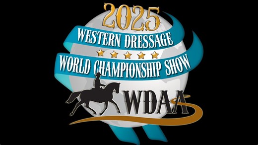 Monday Test Stream WDAA Arena 1